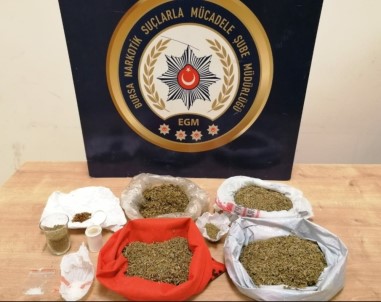 Bursa'da Uyuşturucu Operasyonu Açıklaması 5 Tutuklama