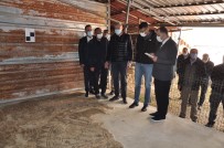 Vali Çelik'ten  'Mozaikli Ev-Arkeopark' Projesine Destek