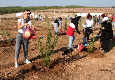 Adana'da 50 Bin Fidan Toprakla Buluştu