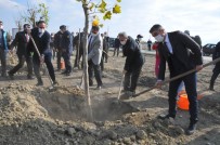 Akşehir Belediyesinden 200 Ağaç Fidanı Haberi
