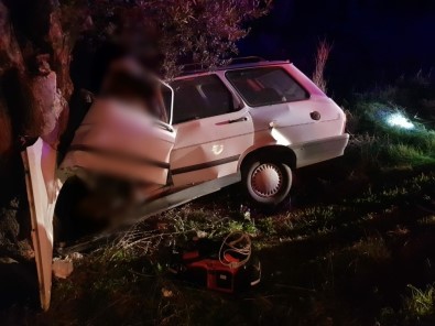 Bekci Kazada Yasamini Yitirdi Mugla Iline Bagli Bodrum Ilcesi