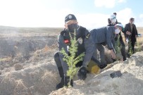 Çankırı'da 73 Bin Fidan Toprakla Buluşturuldu