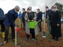 Sancaktepe'li Öğrenciler Toprağa Fidan Dikerek Geleceğe Nefes Oldu Haberi