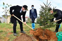 Trabzon'da 40 Bin Fidanla Toprakla Buluştu Haberi