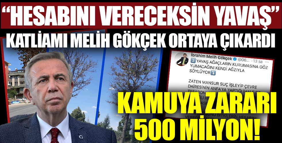 Ankara’da çevre katliamı!