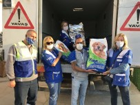 Bayraklı'da Depremden Etkilenen Sokak Hayvanlarına 1 Buçuk Ton Kuru Mama