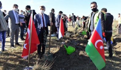 DPÜ'lü Uluslararası Öğrenciler 500 Selvi Fidanını Toprakla Buluşturdu