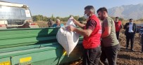 Elbistan Belediyesi, Ata Mirası Siyez Buğdayı Üretecek Haberi