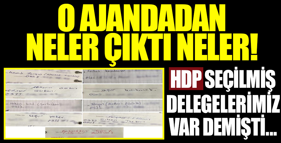 HDP, 'Seçilmiş delegelerimiz var' demişti...