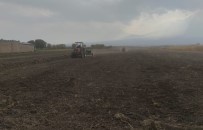 Iğdır'da Yüksek Verimli Buğday Ekimi Yapıldı
