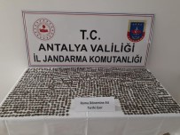 Antalya'da Roma Dönemine Ait 1547 Adet Sikke Ele Geçirildi
