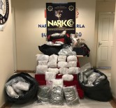 Bolu'da 83 Kilo 550 Gram Esrar Yakalanan Şahıs Tutuklandı