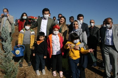 Silvan'da 40 Bin Fidan Dikildi