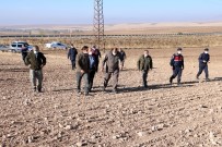 Yozgat'ta Ölü Bulunup Gömüldüğü İddia Edilen Yakalı Toy Kuşu İle İlgili Araştırma Haberi