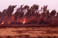 Akyaka Ve Köyceğiz'de Sazlık Yangını Haberi