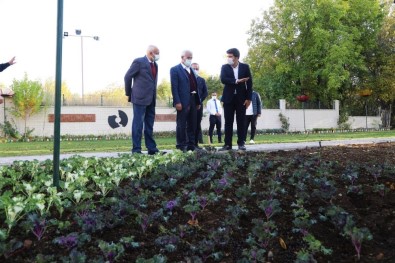 Battalgazi'ye 25 Bin Kök Süs Bitkisi Dikiliyor