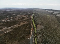 Kızılırmak Deltası Alarm Veriyor Haberi