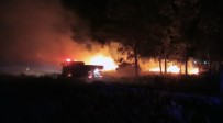 Muğla'da Sazlık Alanlarda Yangın