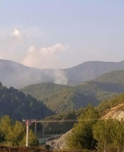 Samandağ'da Orman Yangını