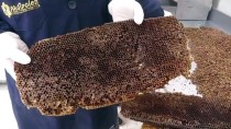 Afyonkarahisar'da Bal Peteklerinden Üretilen 'Arı Ekmeği' Talep Görüyor