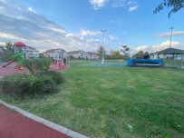 Serdivan'da Sonbahar Temizliği