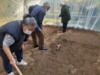 8 Aydır Dışarı Çıkamayan Huzurevi Sakinleri İçin Sera Kuruldu