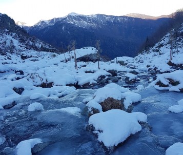 Artvin'in Macahel Karçal Dağları Eteklerinde Bulunan Göller Ve Akarsular Buz Tuttu