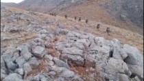Bitlis'te Mağara Ve Sığınaklarda PKK'lı Teröristlere Ait Patlayıcı Ve Yaşam Malzemeleri Bulundu