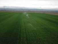 Eskişehir'de 325 Bin 500 Dekar Tarım Arazisi Sulandı, Ekonomiye 705 Milyon TL Katkı Sağlandı