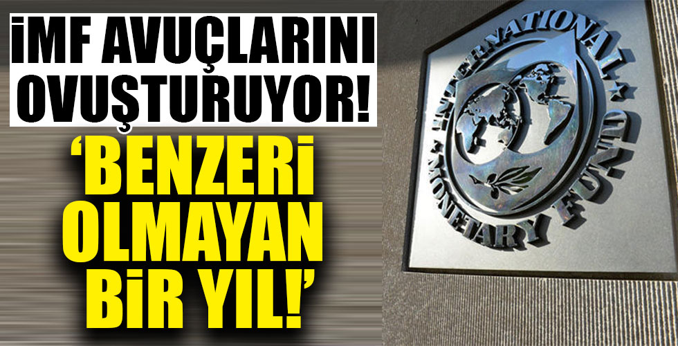 IMF'in 2020 yılı raporuna 'Benzeri Olmayan Bir Yıl' adı verildi