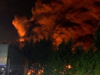 İngiltere'de Yangın Nedeniyle Okullar Kapandı, Ulaşım Aksadı