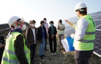 Kestel Belediyesi, Güneş Enerji Santralinin Kapılarını Öğrencilere Açtı Haberi