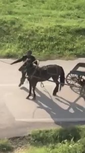 Bursa'da Dehşet...Yükü Çekmeyen Atı Böyle Kırbaçladı