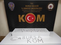 Bursa'da Roma Döneminden Kalma 465 Sikke Bulundu