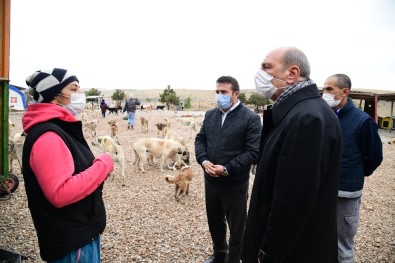 Can Dostlar Emin Ellerde