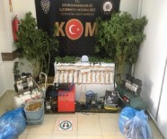 Didim'de 52 Kök Hint Keneviri Ele Geçirildi