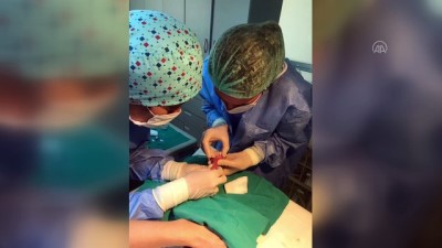 Edirne'de 'Güneşin Suya Dönüşü Projesi' Başlatıldı