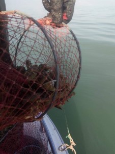 Eğirdir Gölü'nde Kaçak Kerevit Avına Geçit Verilmiyor