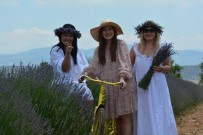 Isparta Bu Yıl Lavanta Turizminde 250 Bin Ziyaretçiyi Ağırladı