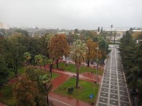 Samsun'da Sağanak Açıklaması Bir Günde Metrekareye 64.5 Kilogram Yağmur Düştü