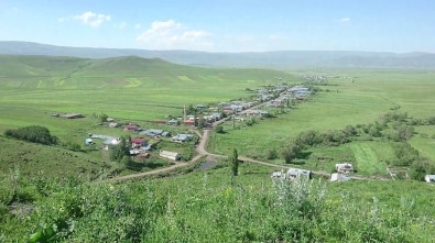 Ardahan'da 3 Köy Karantinaya Alındı