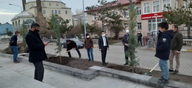 Arpaçay'da Atatürk Parkı Ağaçlandırıldı