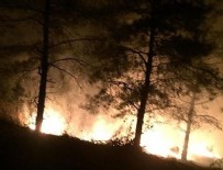 Hatay'da Orman Yangını