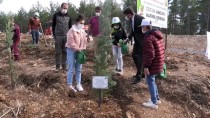 Kahramanmaraş'ta Yanan Ormanlık Alan Çocukların Eliyle Yeşerecek