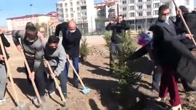 Sivas'ta 'Okulda İlk Günüm, Hayatta İlk Ağacım' Projesi Kapsamında 1100 Fidan Dikildi