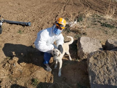Su Kuyusunda Mahsur Kalan Köpek Kurtarıldı