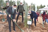 Yanan Ormanlar İçin Fidan Diktiler