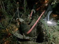 Çukura Düşen İneği İtfaiye Ekibi Kurtardı