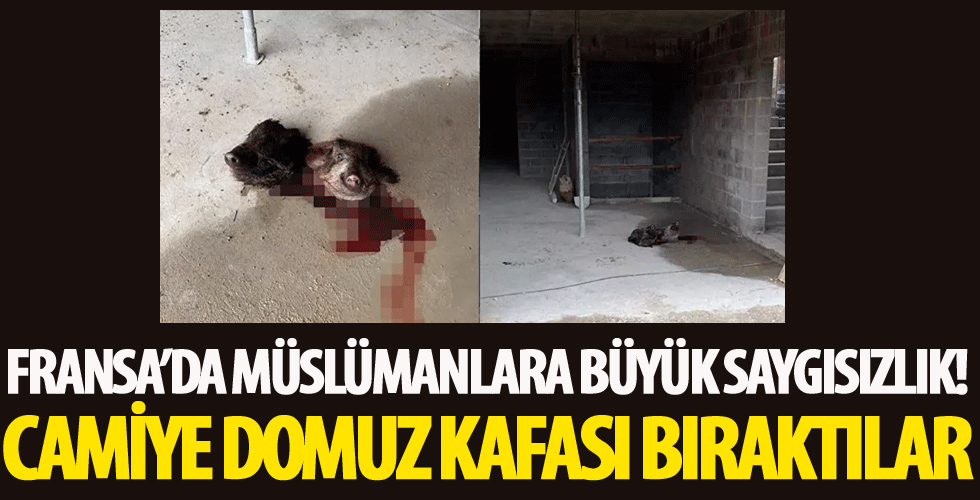 Fransa'da camiye çirkin saldırı