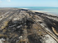 TEMA Vakfı Samsun İl Temsilciliği Açıklaması 'Kızılırmak Deltası'nın Takipçisiyiz'